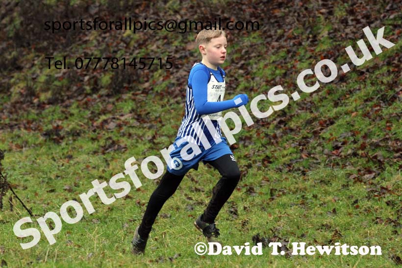 Boys under-13s, NECAA Junior Cross Country Relays, Thornley Farm, Peterlee, Saturday, December 12th. Photo: David T. Hewitson/Sports for All Pics